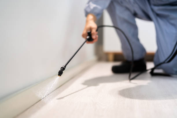 Licensed Termite Control service in Milford, IL - Nex Pest Control