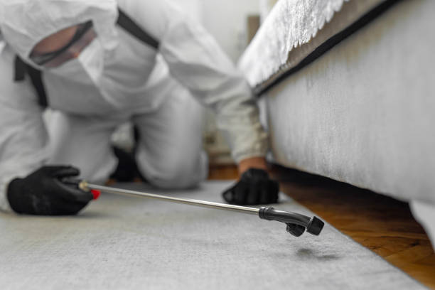 Professional Termite Control technician working in Milford, IL