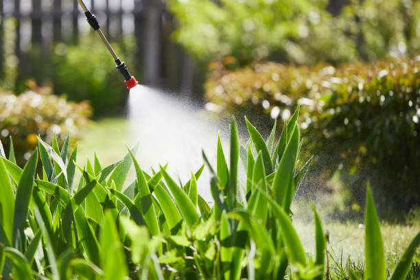 24/7 Emergency Termite Control experts in Milford, IL