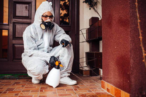 Reliable Termite Control contractor in Milford, IL by Nex Pest Control