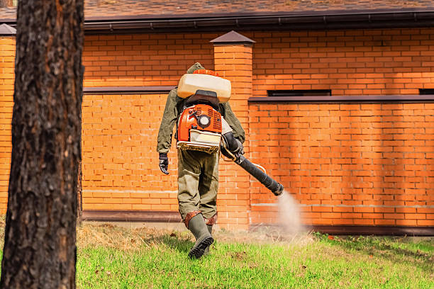 Top rated local Termite Control specialists in Milford, IL